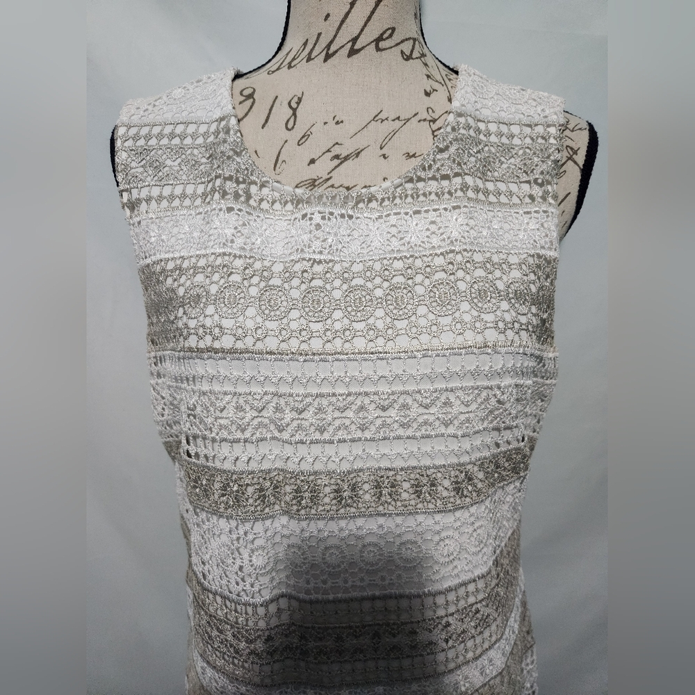 Calvin Klein Striped White/Beige Lace Sleeveless Dress. Size 10. RN 54163.